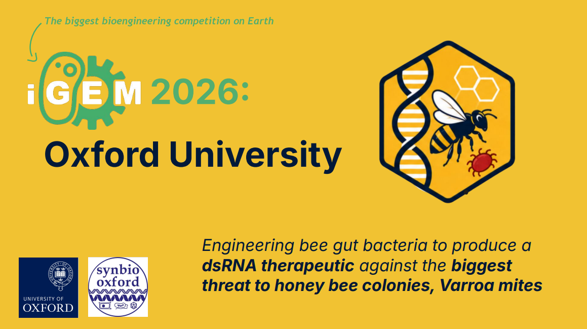 igem